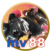 mv88