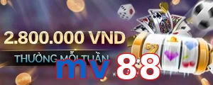 mv88