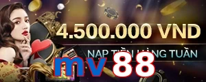 mv88